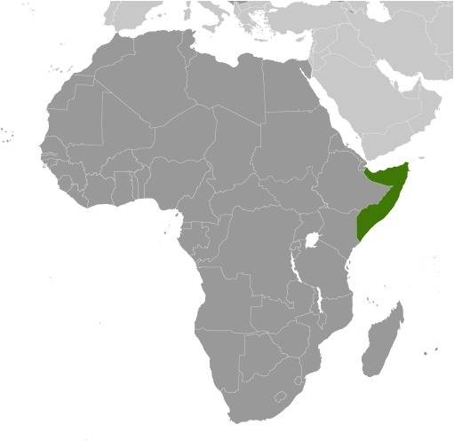 Somalia Location